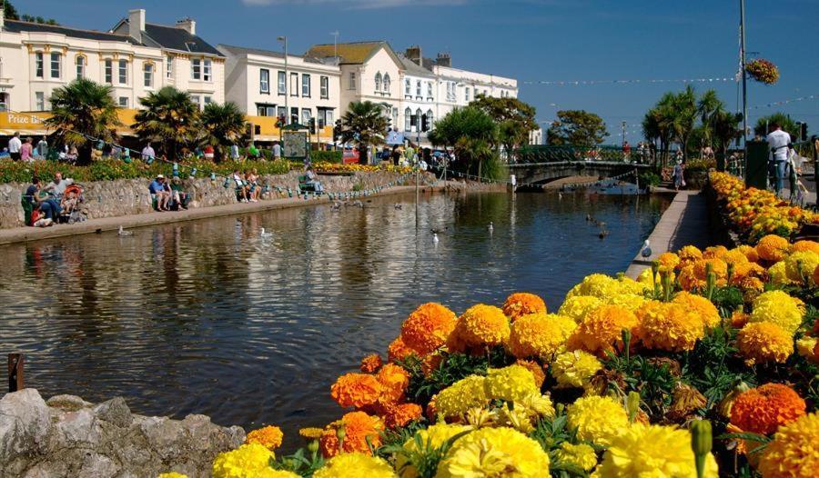Dawlish Lawn Viewアパートメント エクステリア 写真